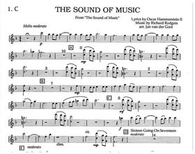 The sound of music ensemble